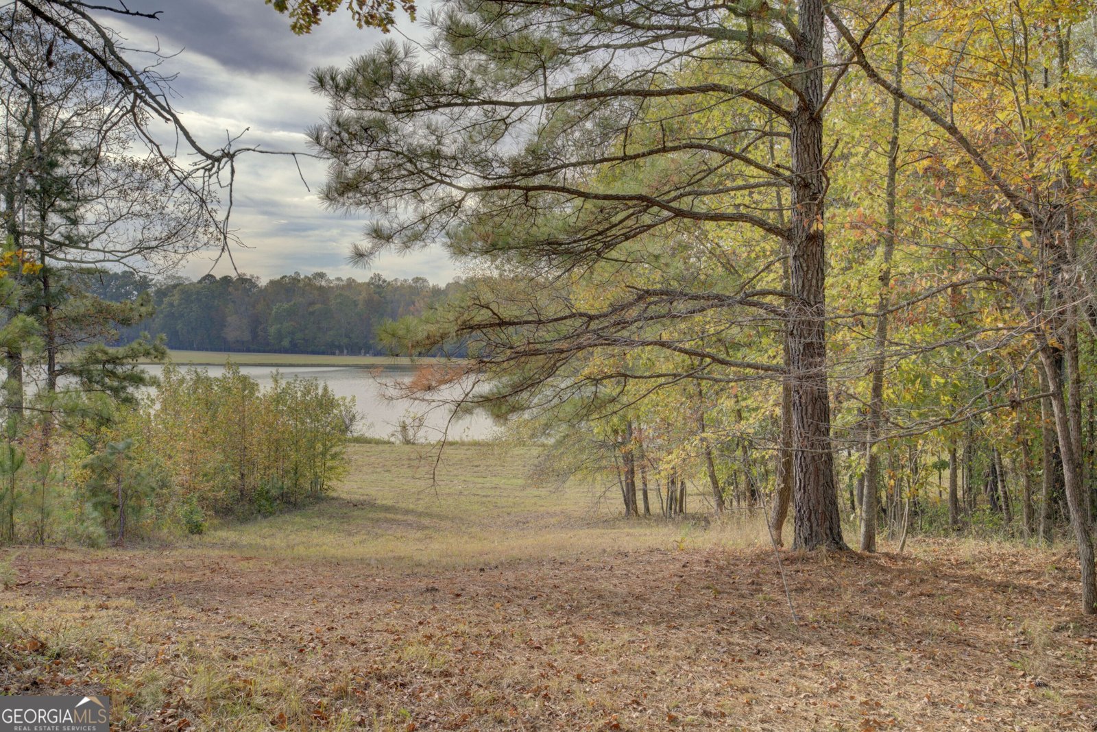 431 Abrams Road Silver Creek - Photo 77