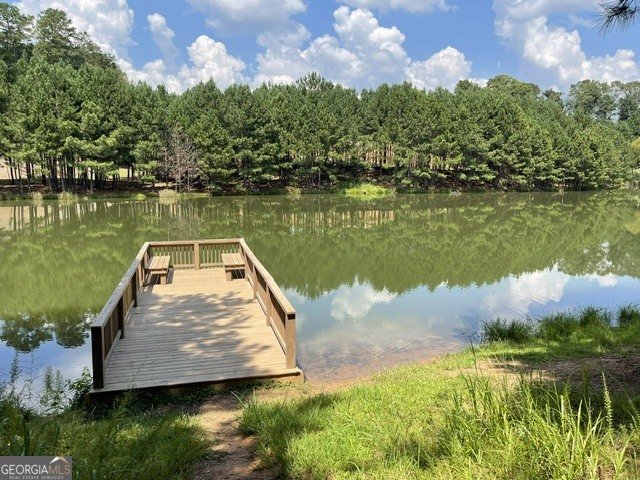 201 Providence Lane Canton - Photo 48