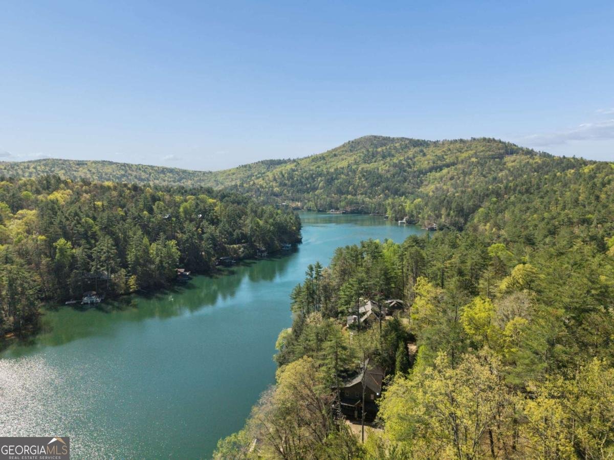 88 Vidalia Lane Lakemont - Photo 85