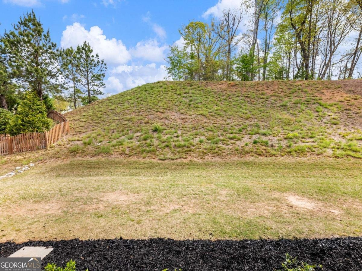 6286 Cedar Springs Lane Hoschton - Photo 62