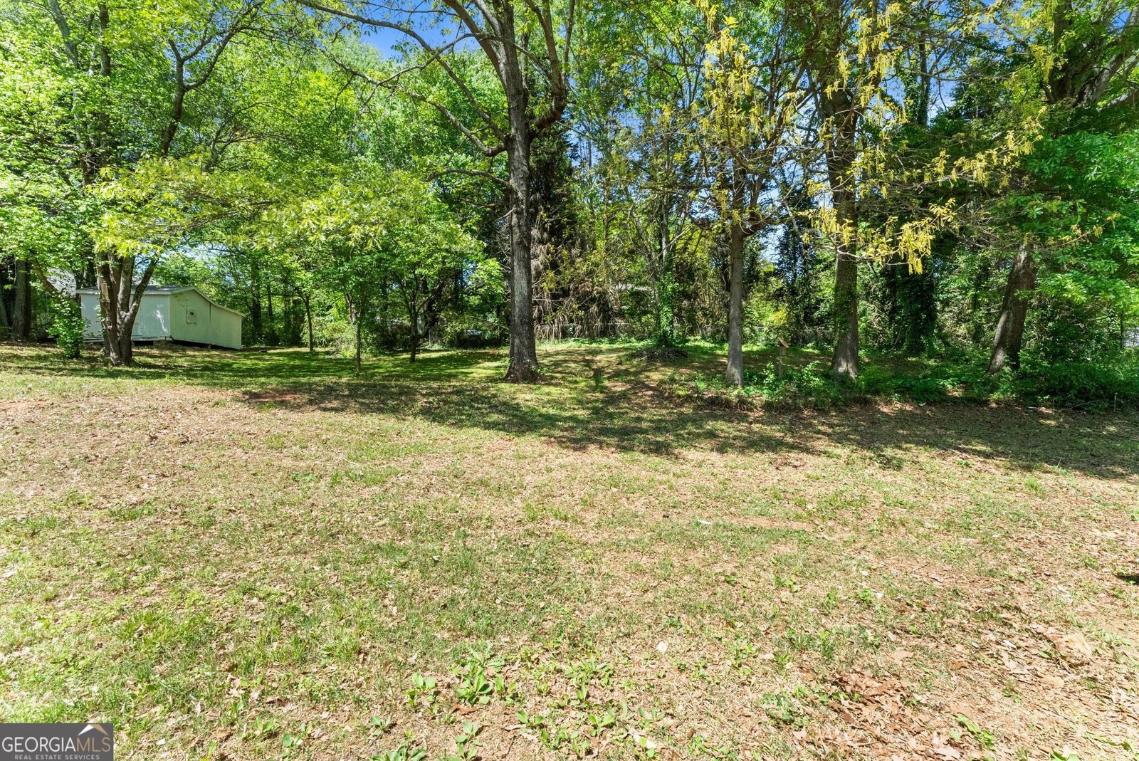 217 Quail Trail Cornelia - Photo 45