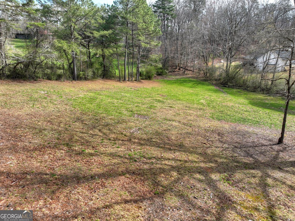 190 Burgess Road Ellijay - Photo 44