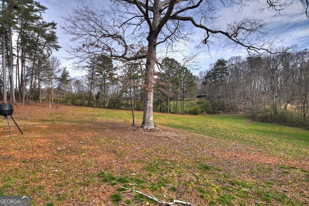 190 Burgess Road Ellijay - Photo 47