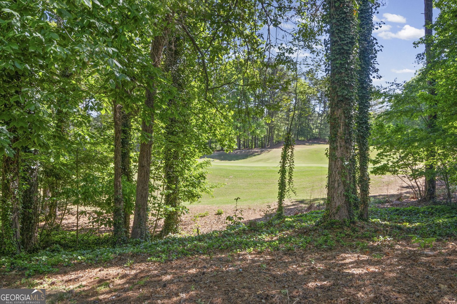 4006 Ironhill Lane Woodstock - Photo 43