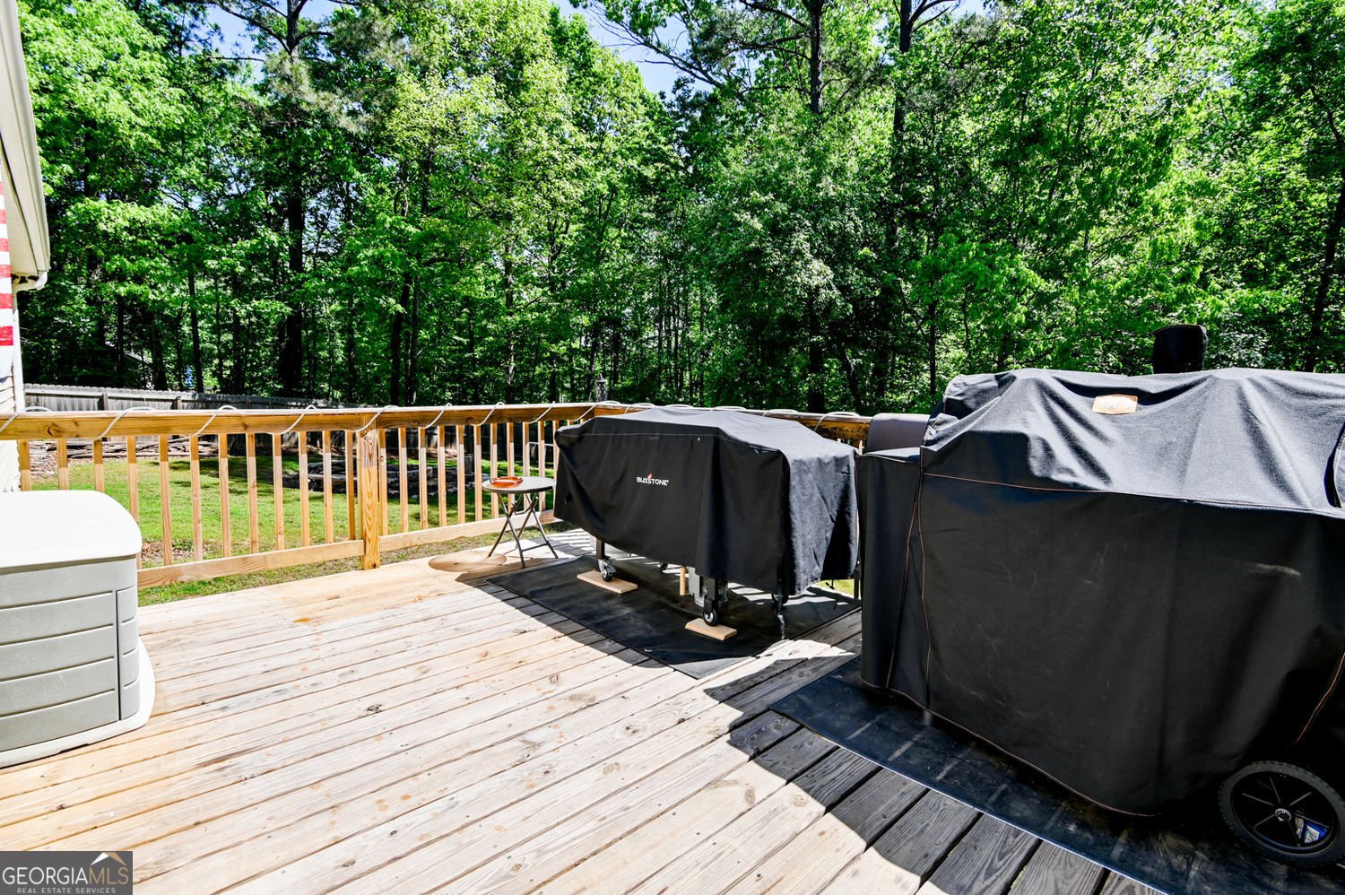 1042 Birdseye View Locust Grove - Photo 19