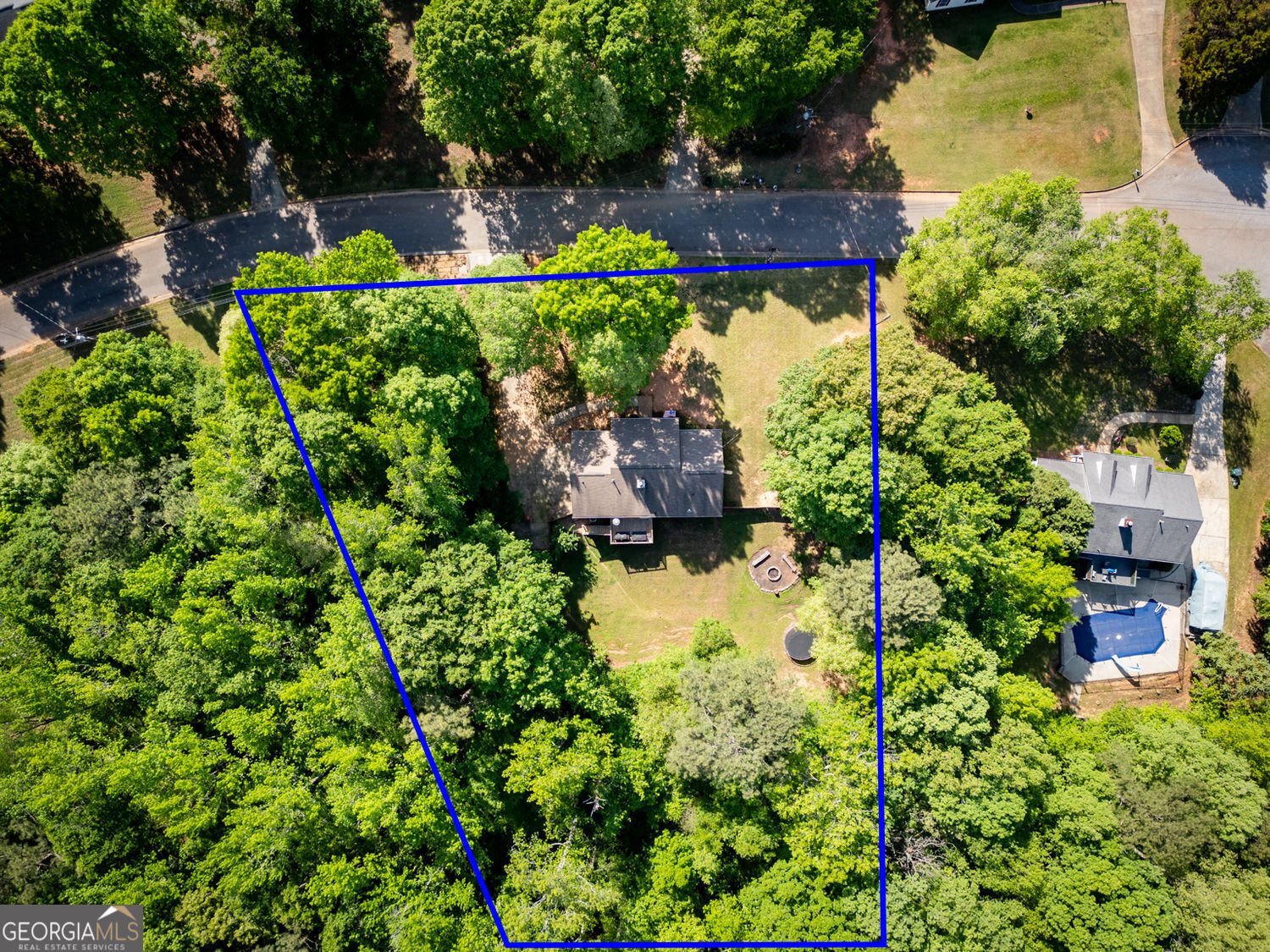 1042 Birdseye View Locust Grove - Photo 48