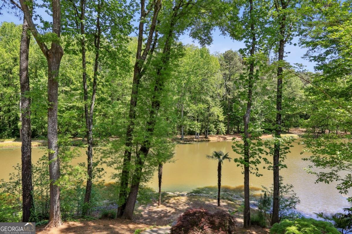 3407 Lantern View Lane Scottdale - Photo 50