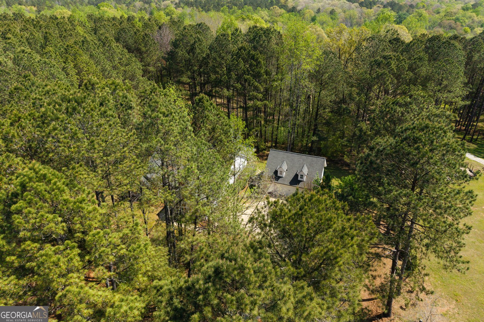 1020 Brenda Lane Madison - Photo 62