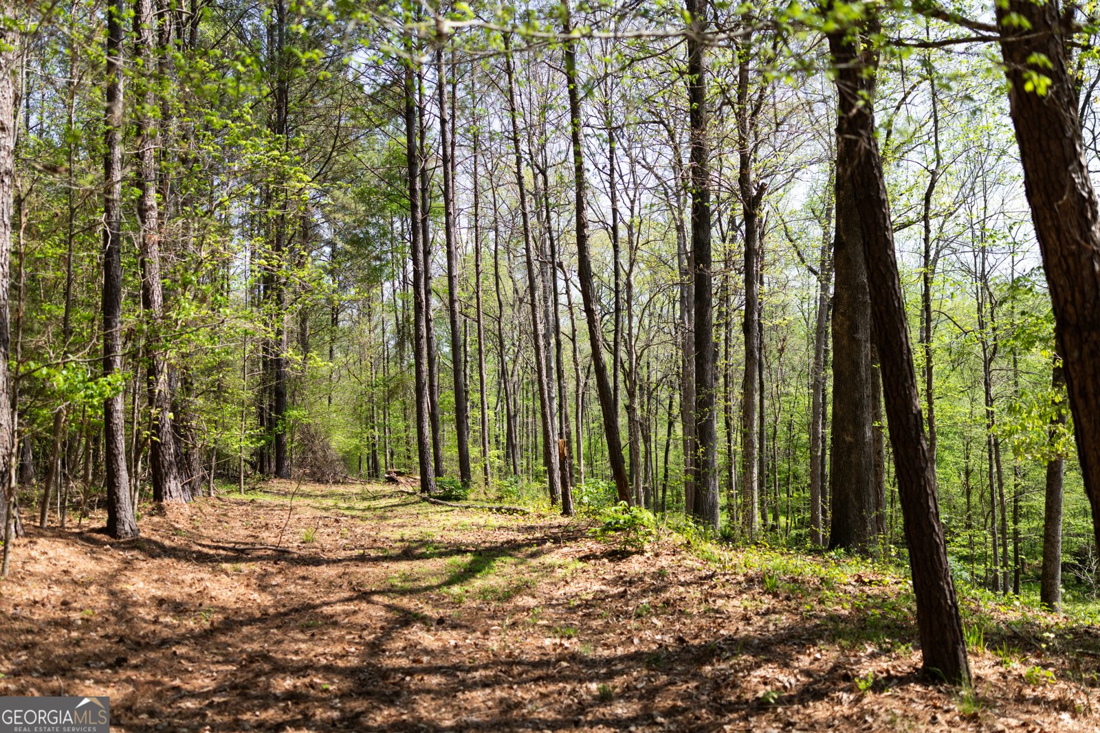 1020 Brenda Lane Madison - Photo 69