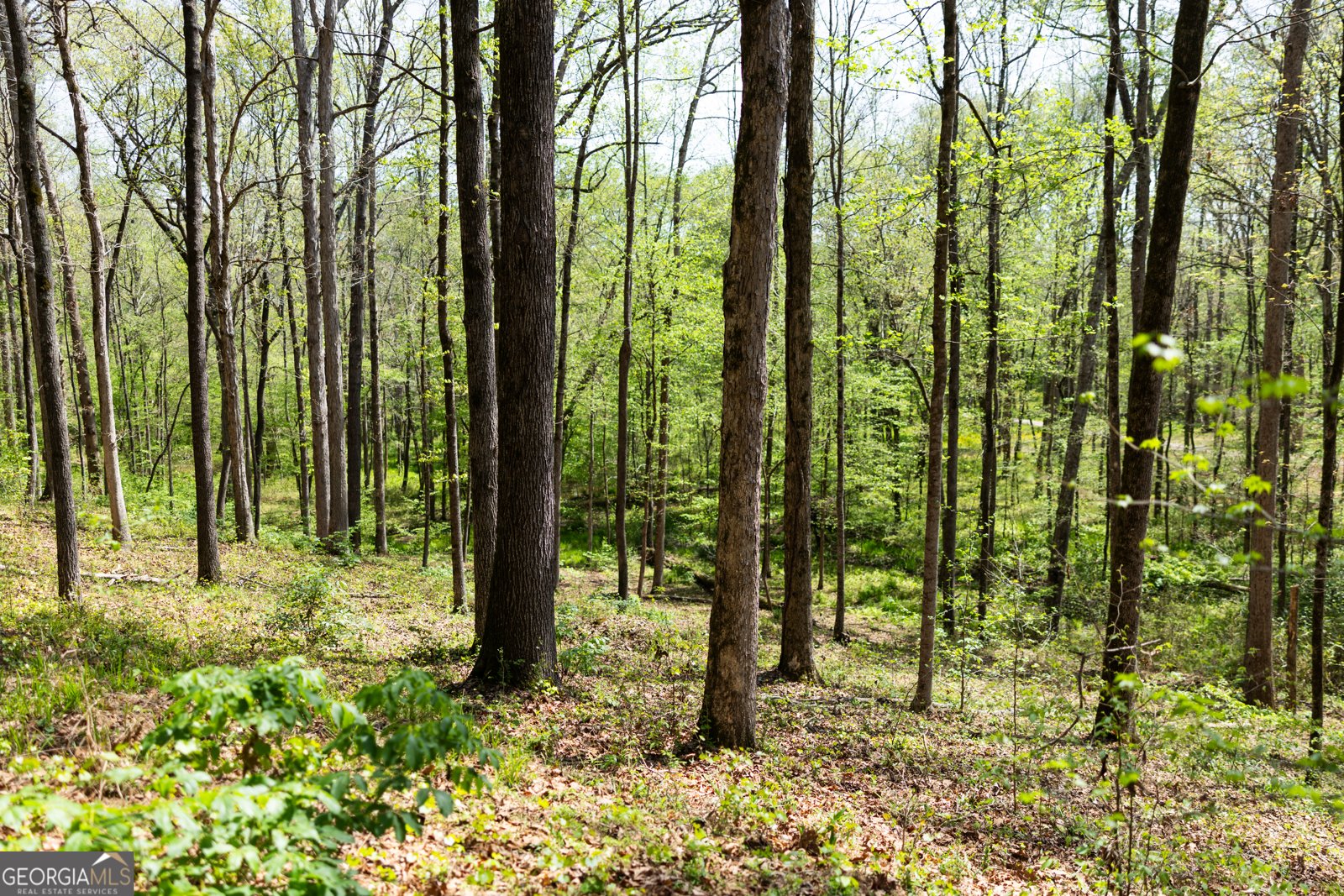 1020 Brenda Lane Madison - Photo 70