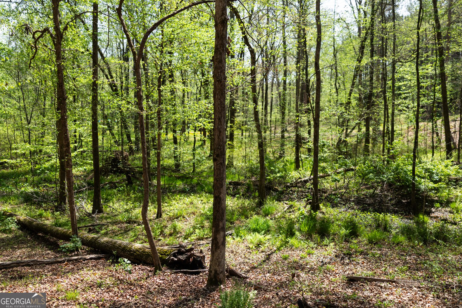 1020 Brenda Lane Madison - Photo 71