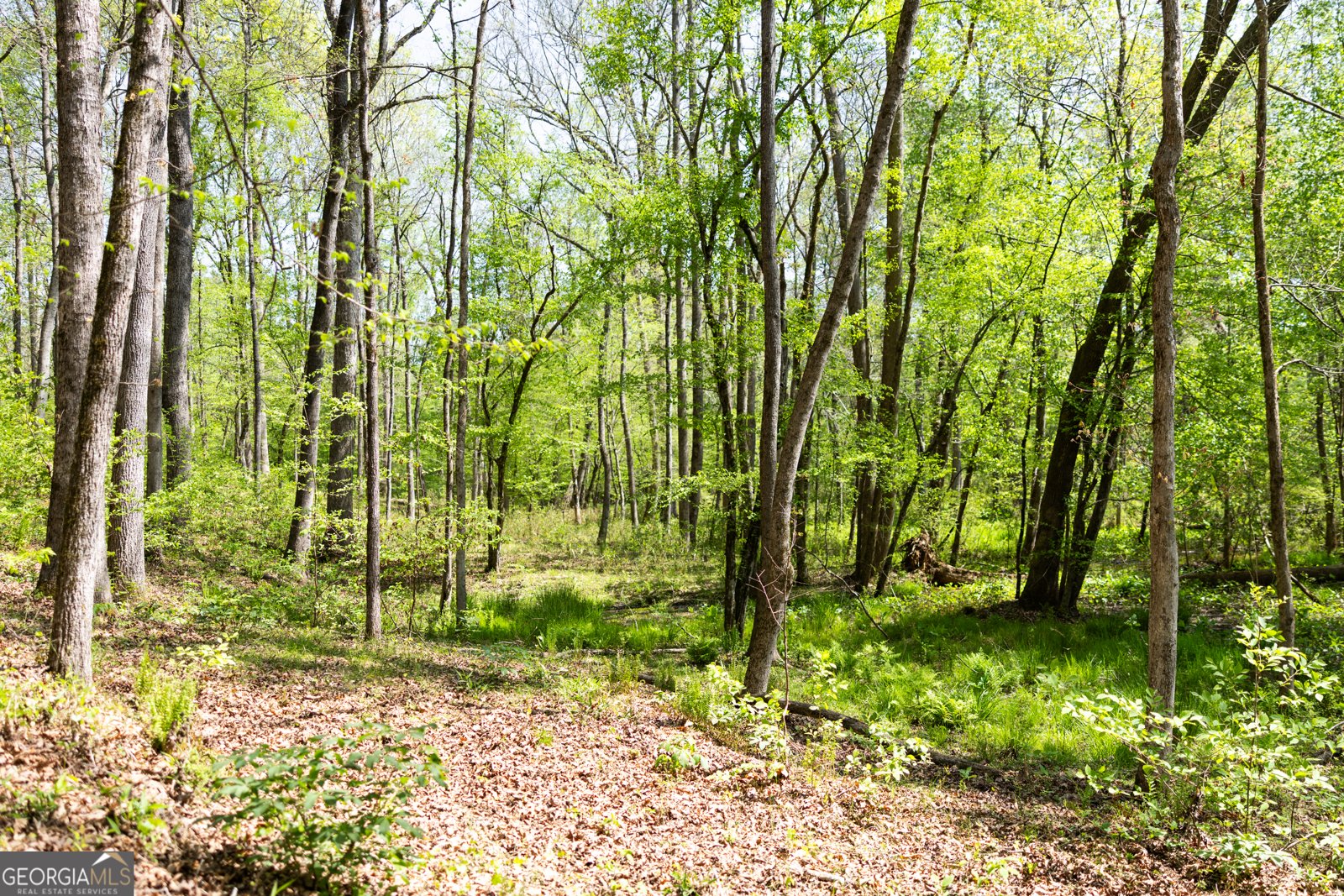 1020 Brenda Lane Madison - Photo 72