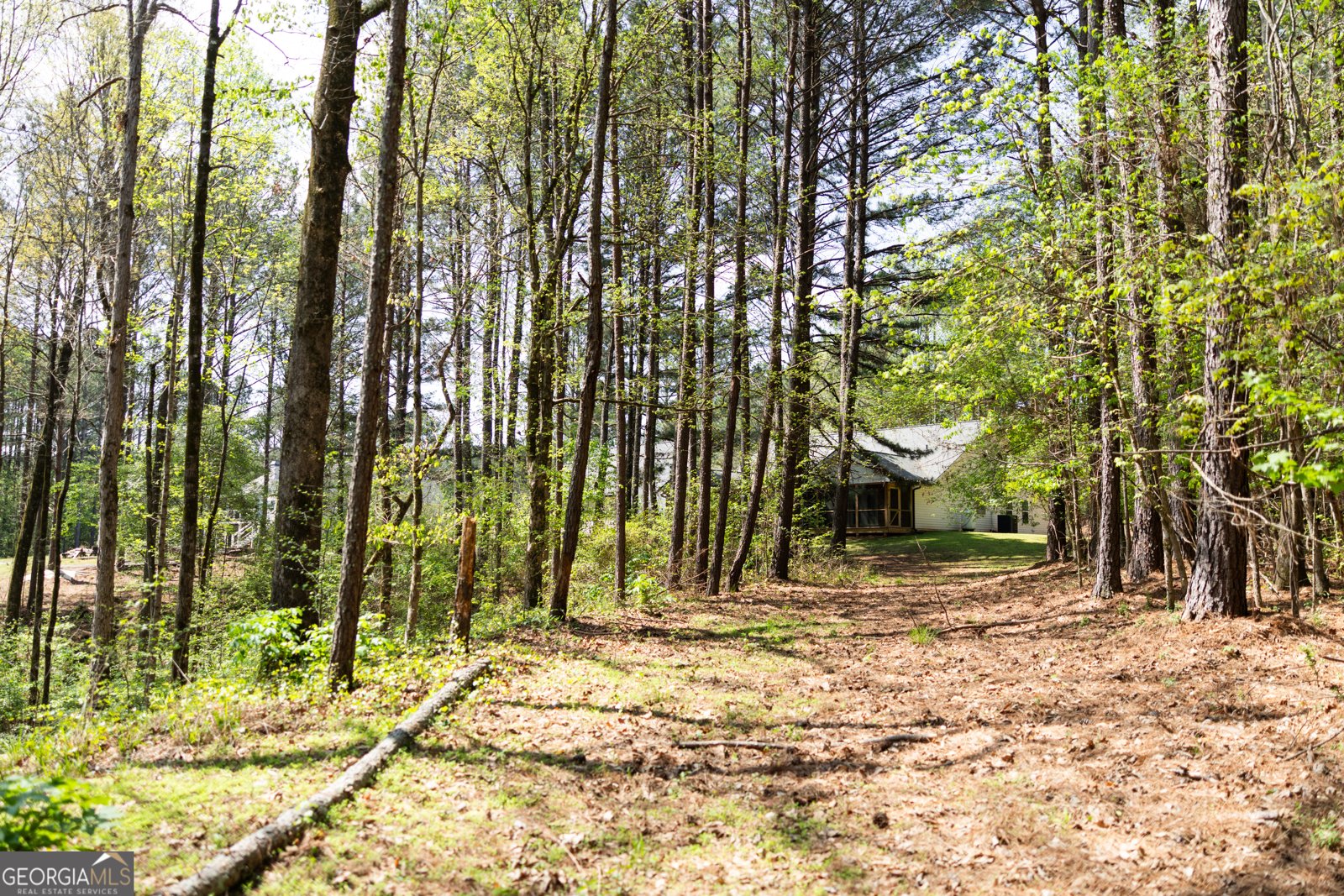 1020 Brenda Lane Madison - Photo 73