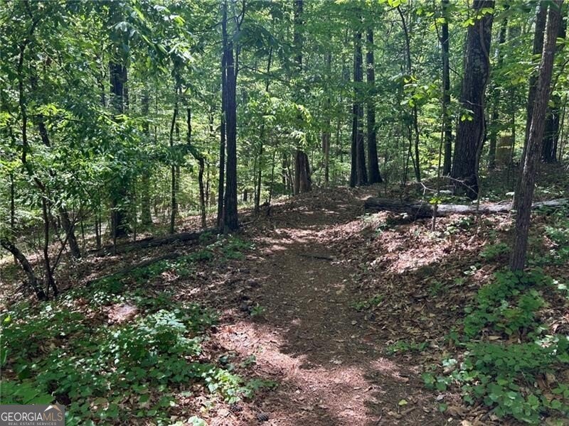 3085 Brockton Close Marietta - Photo 38