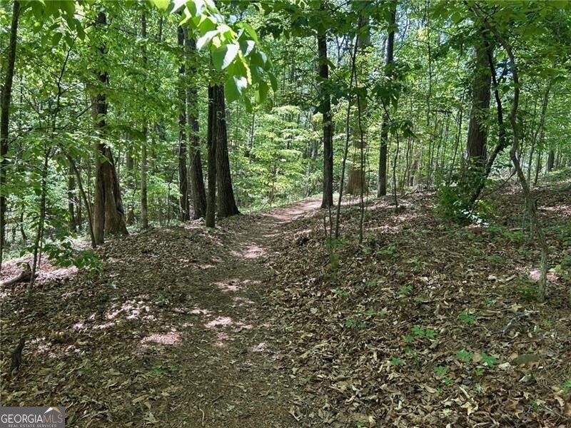 3085 Brockton Close Marietta - Photo 39