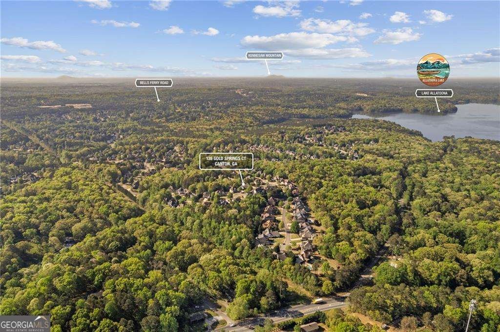 139 Gold Springs Court Canton - Photo 42