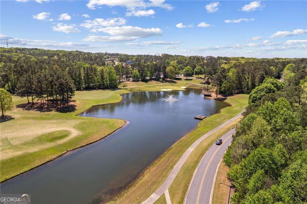 139 Gold Springs Court Canton - Photo 49