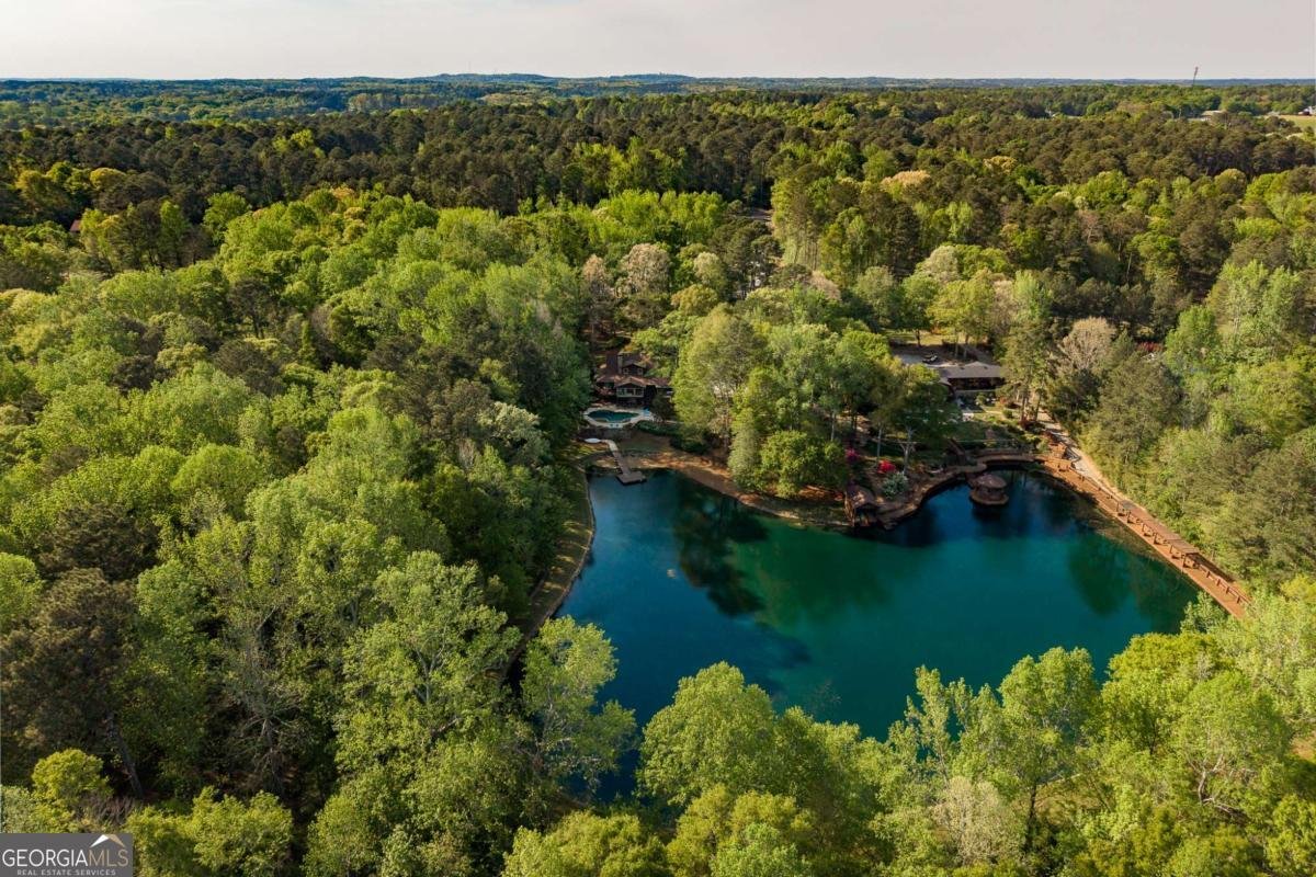 2462 Centerville Rosebud Road Loganville - Photo 62