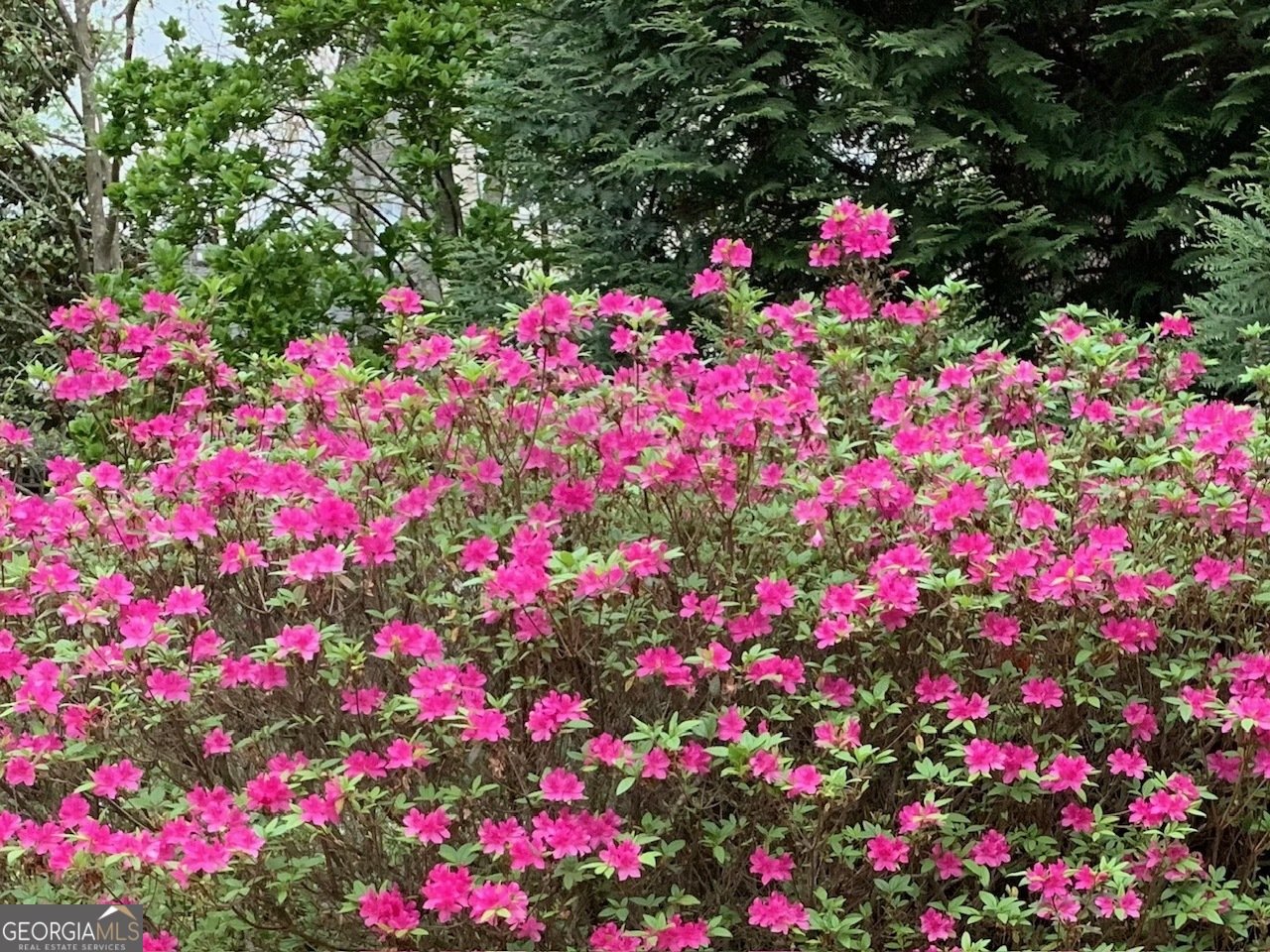 2271 Glen Mary Place Duluth - Photo 39