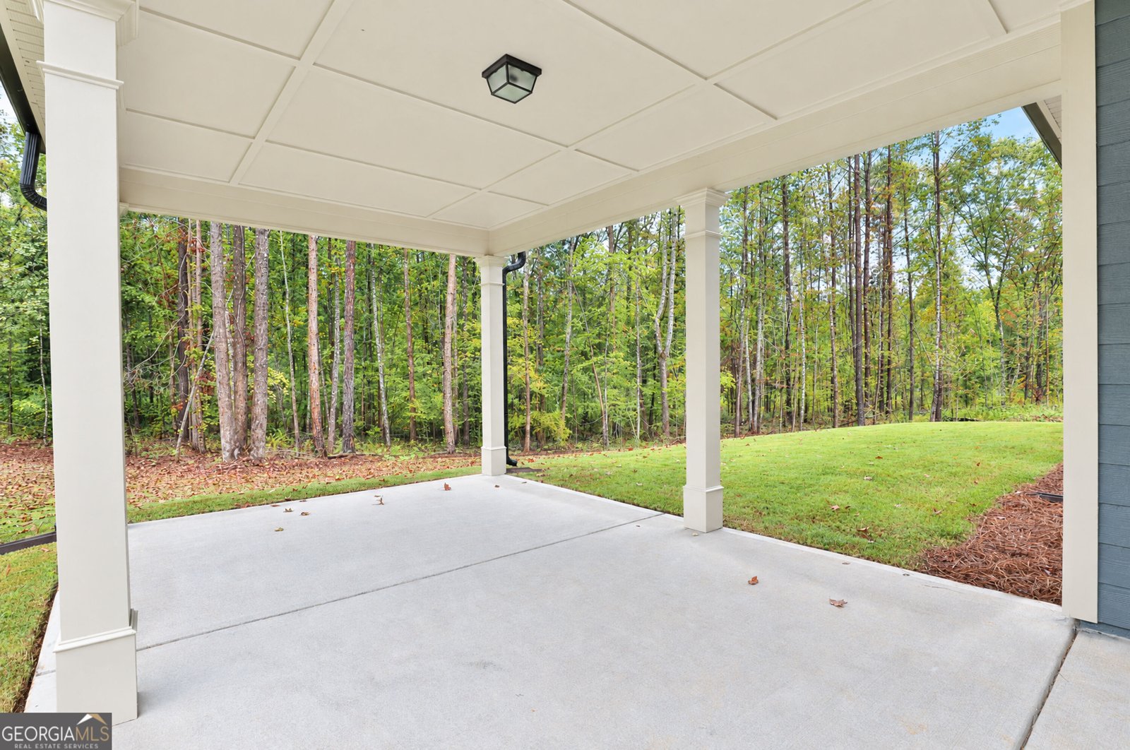80 Tea House Lane Newnan - Photo 36
