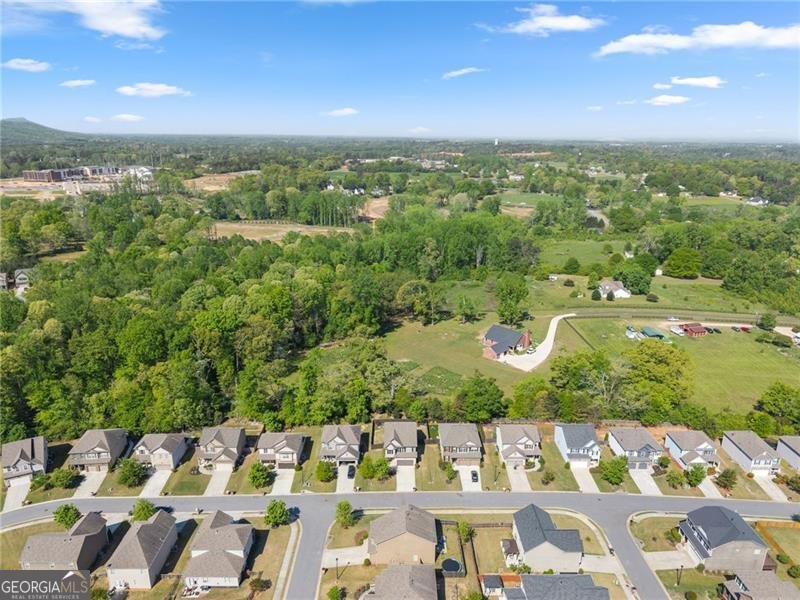 4205 Huron Drive Cumming - Photo 38