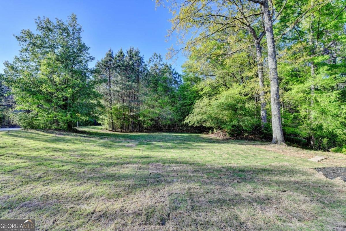 1695 Maple Ridge Drive Suwanee - Photo 56