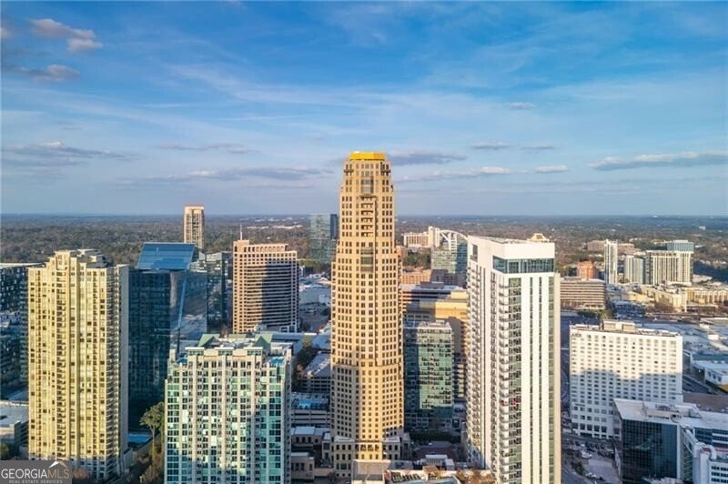 3376 Peachtree Road Atlanta - Photo 1