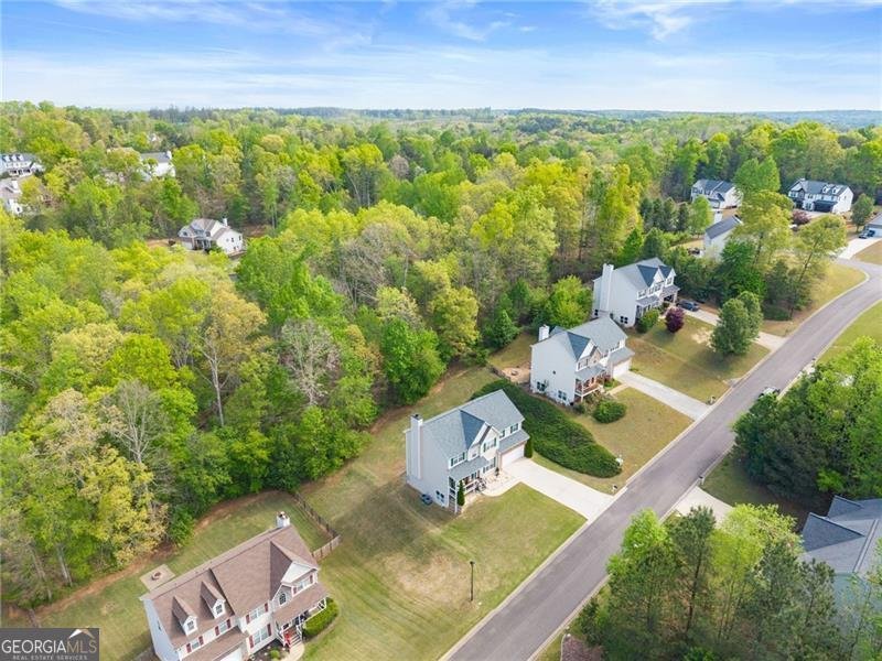 9240 Wilshire Place Cumming - Photo 48