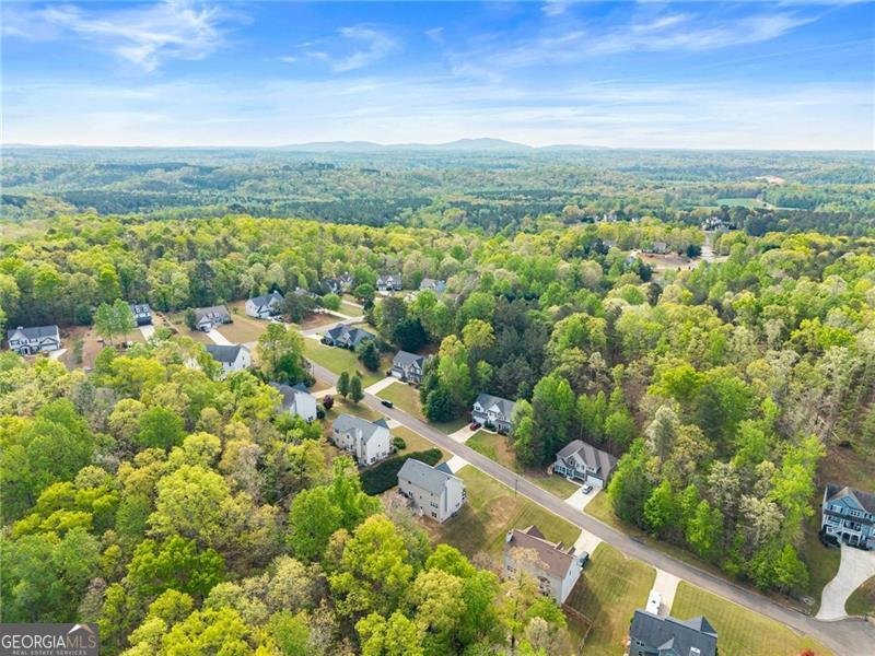 9240 Wilshire Place Cumming - Photo 49