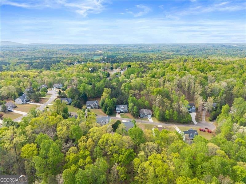 9240 Wilshire Place Cumming - Photo 50