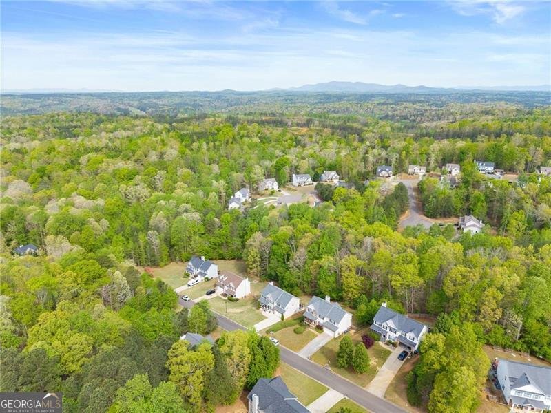 9240 Wilshire Place Cumming - Photo 52