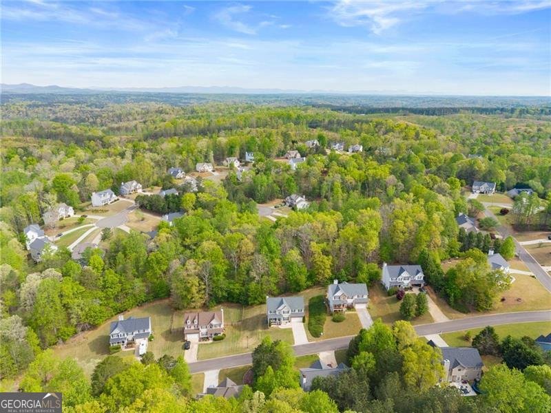 9240 Wilshire Place Cumming - Photo 53