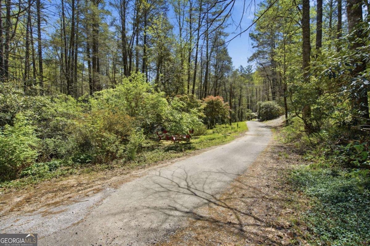 15 Salmon Road Blairsville - Photo 33