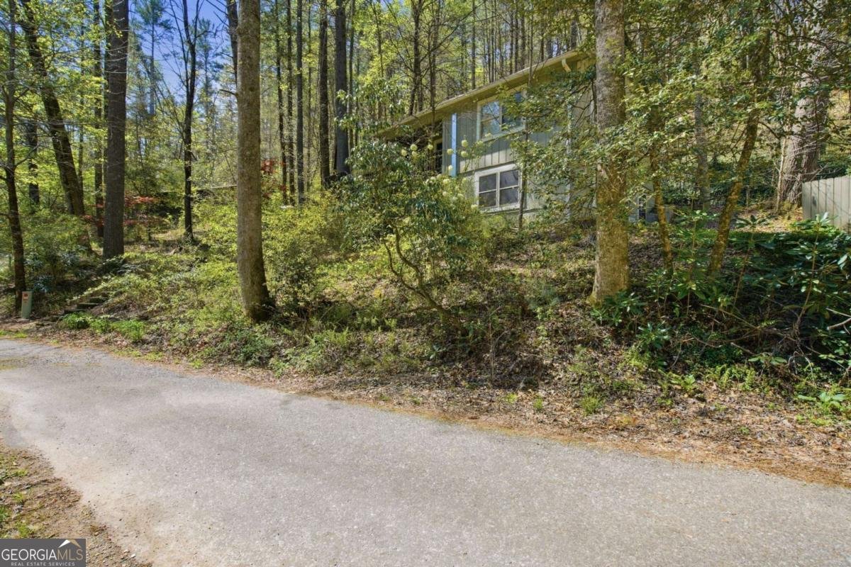 15 Salmon Road Blairsville - Photo 34