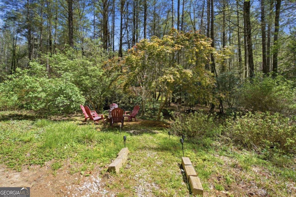 15 Salmon Road Blairsville - Photo 35