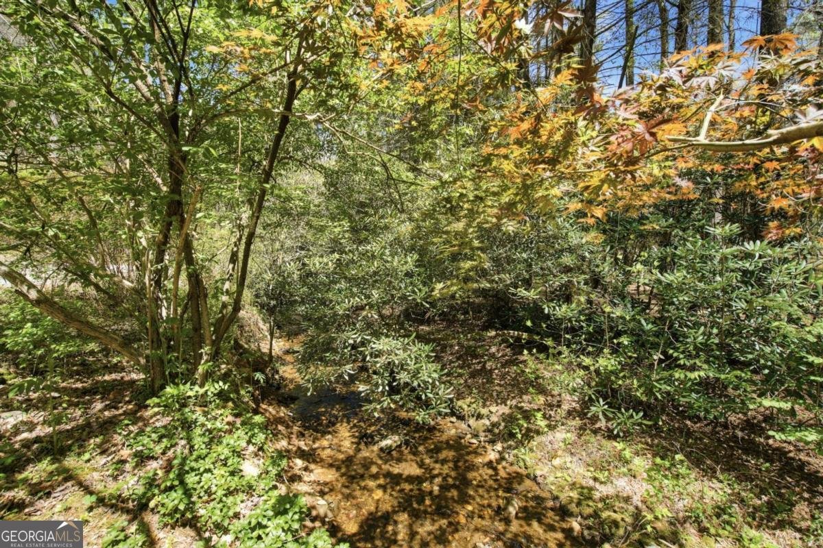 15 Salmon Road Blairsville - Photo 37