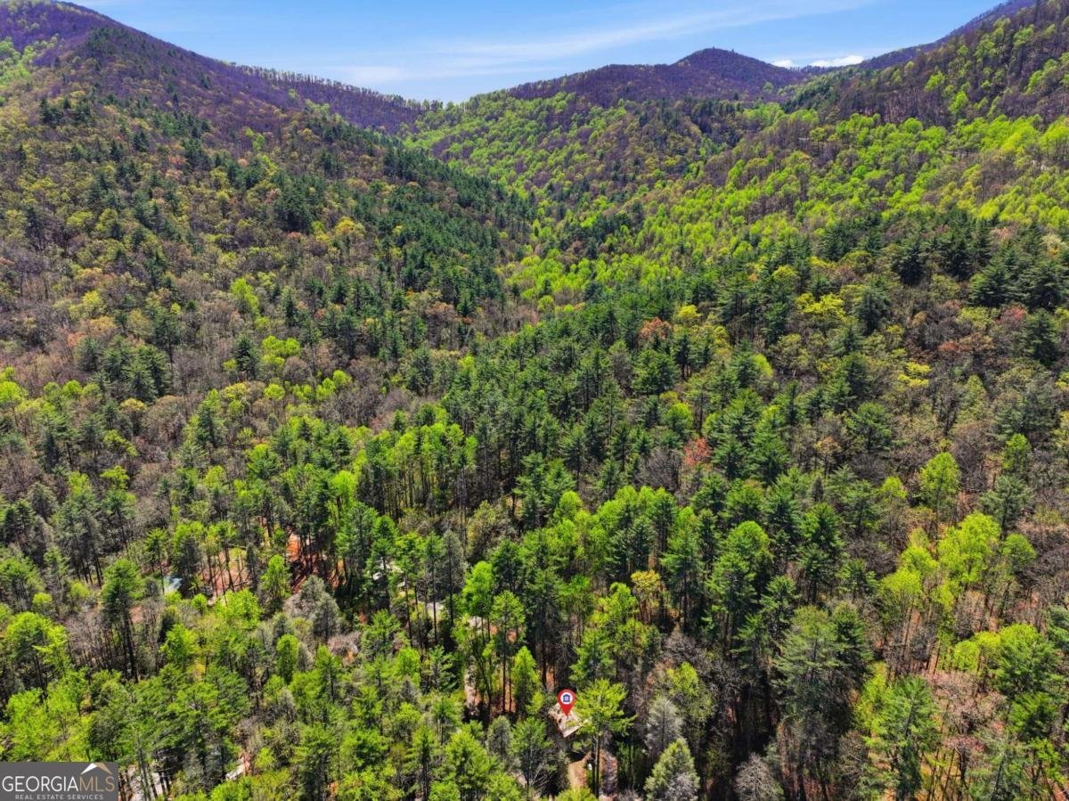 15 Salmon Road Blairsville - Photo 38