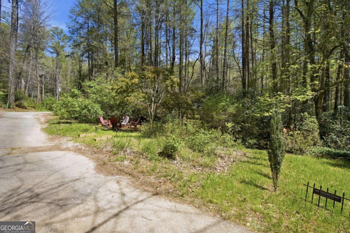 15 Salmon Road Blairsville - Photo 39