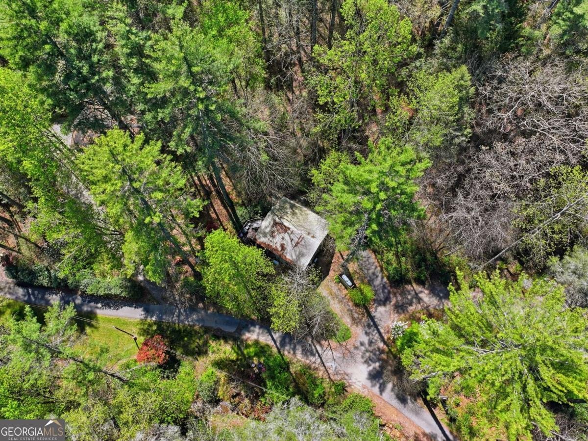 15 Salmon Road Blairsville - Photo 40