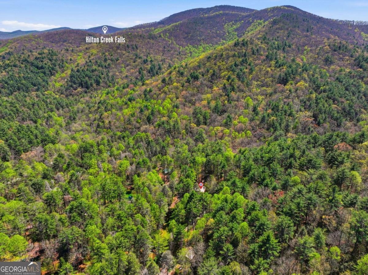 15 Salmon Road Blairsville - Photo 41