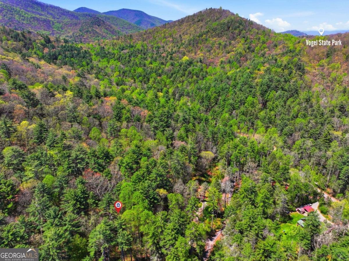 15 Salmon Road Blairsville - Photo 42