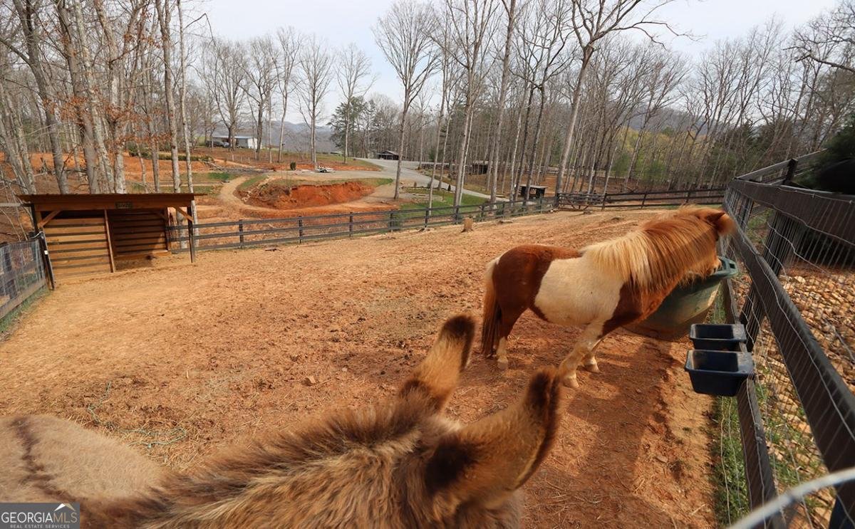 554 Tipton Springs Road Morganton - Photo 22