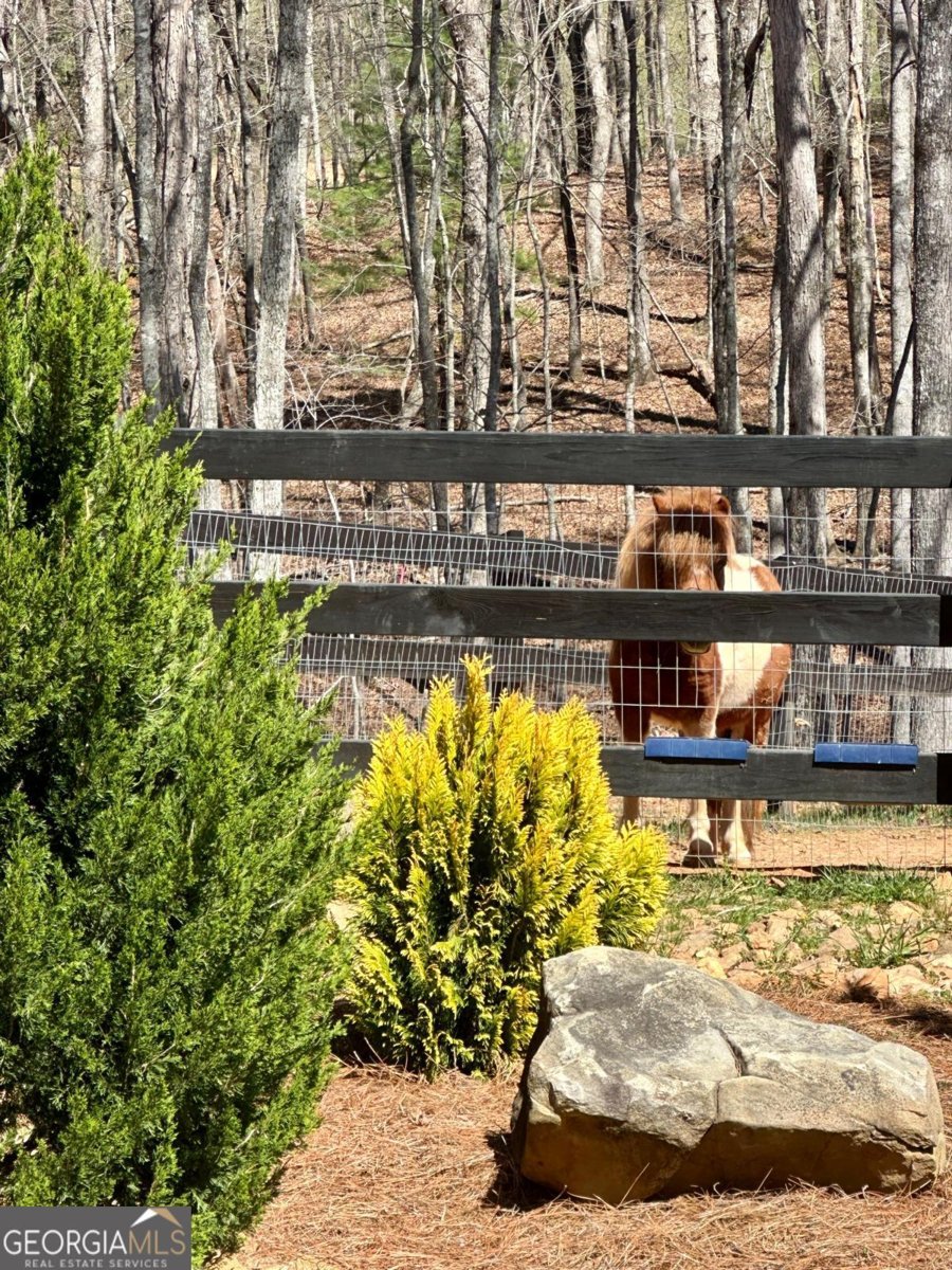 554 Tipton Springs Road Morganton - Photo 30