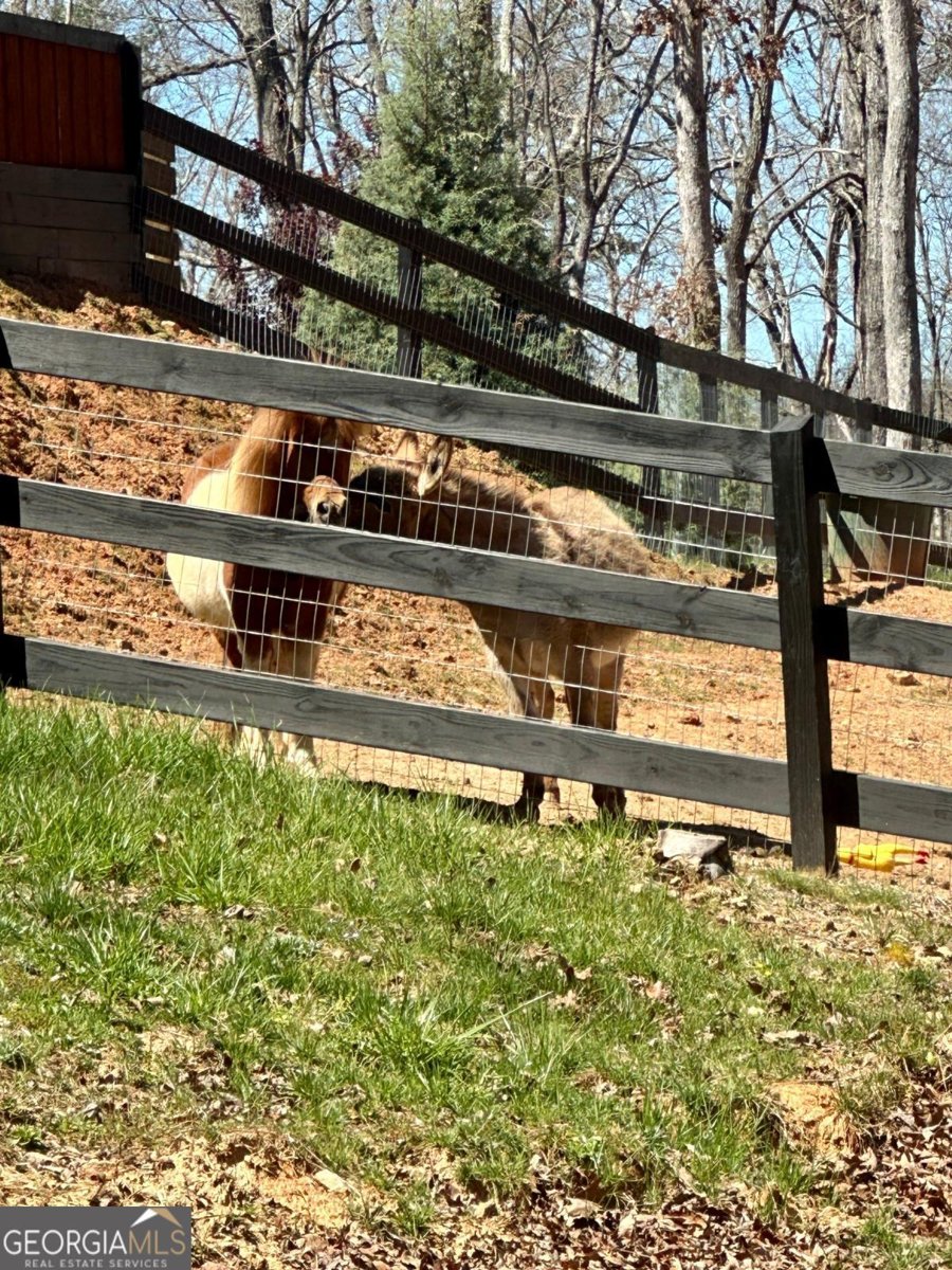 554 Tipton Springs Road Morganton - Photo 34