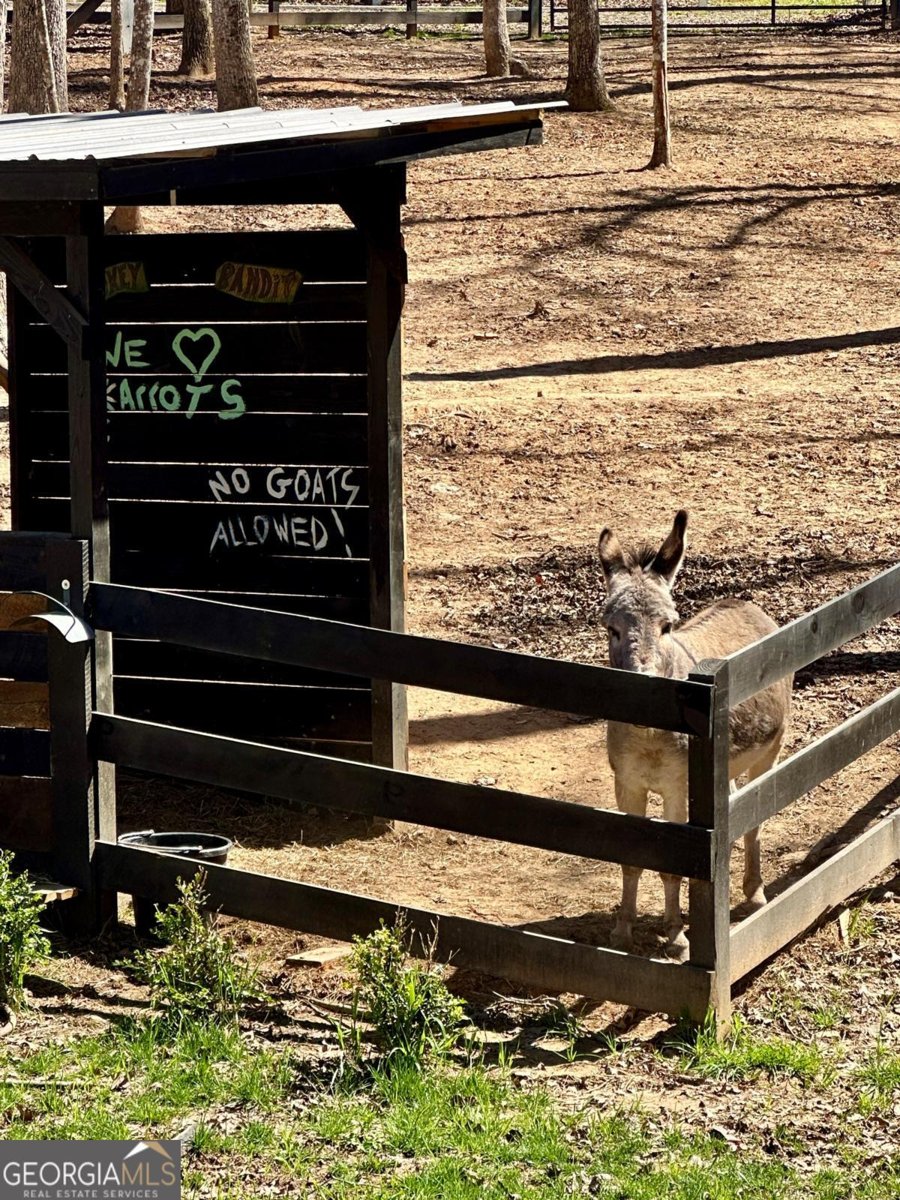 554 Tipton Springs Road Morganton - Photo 36