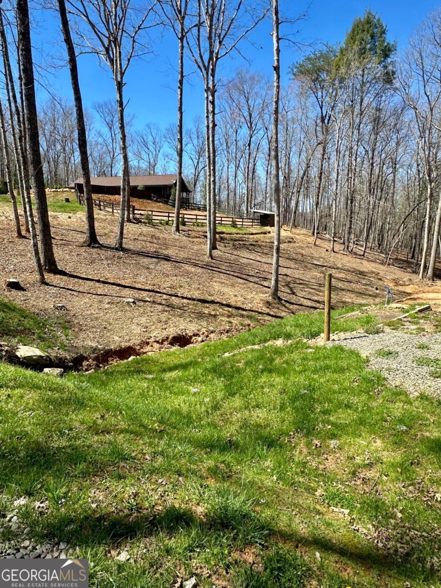 554 Tipton Springs Road Morganton - Photo 40
