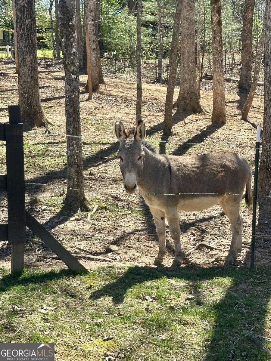 554 Tipton Springs Road Morganton - Photo 42