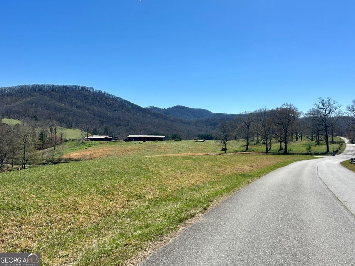 554 Tipton Springs Road Morganton - Photo 46