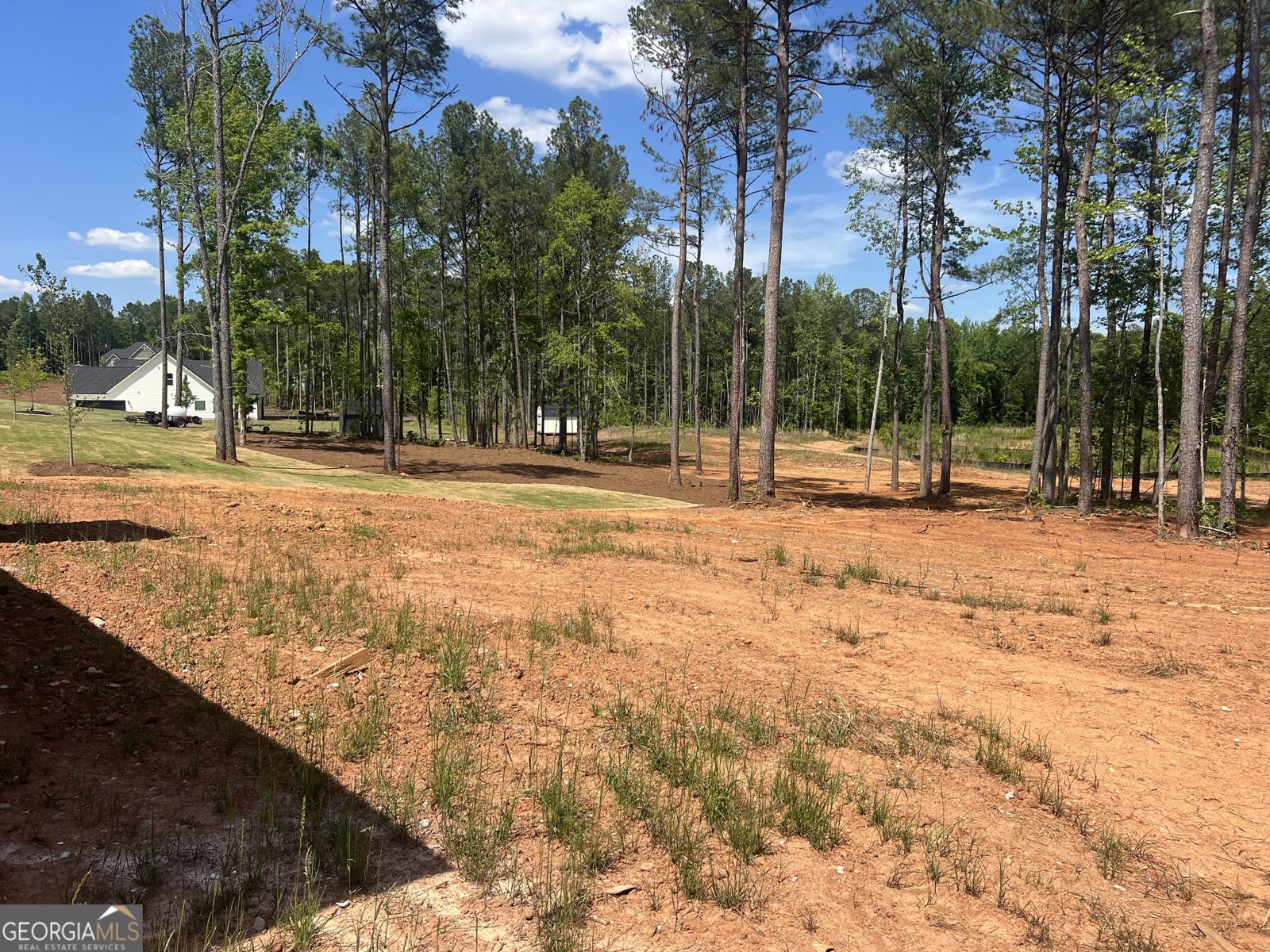 0 Belle Hall Drive Newnan - Photo 20