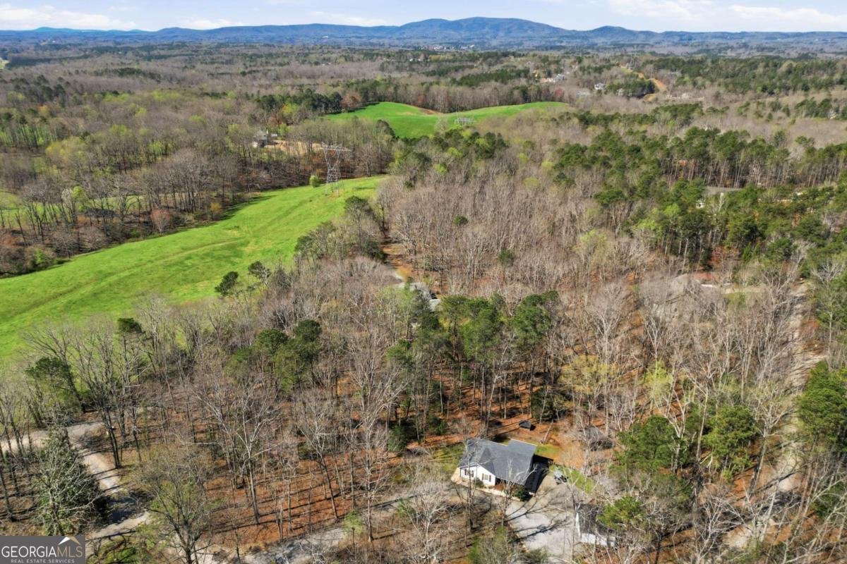 137 Geneva Road Canton - Photo 43